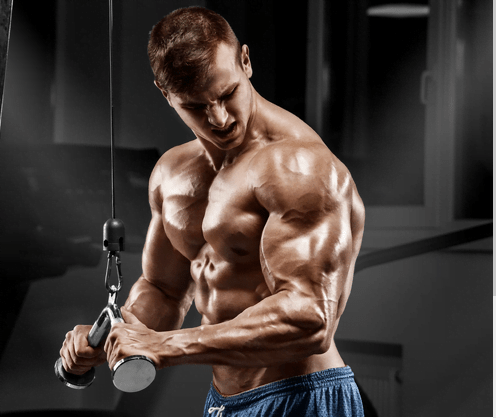 The Ultimate Hypertrophy Training Guide: Boost Your Strength and ...