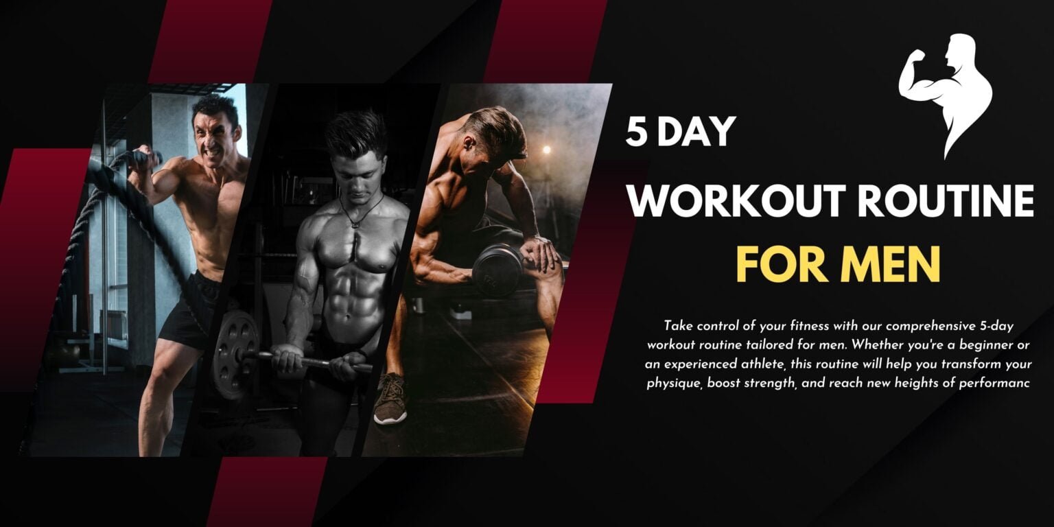 5 Day Workout Routine For Men Transform Your Fitness Regimen