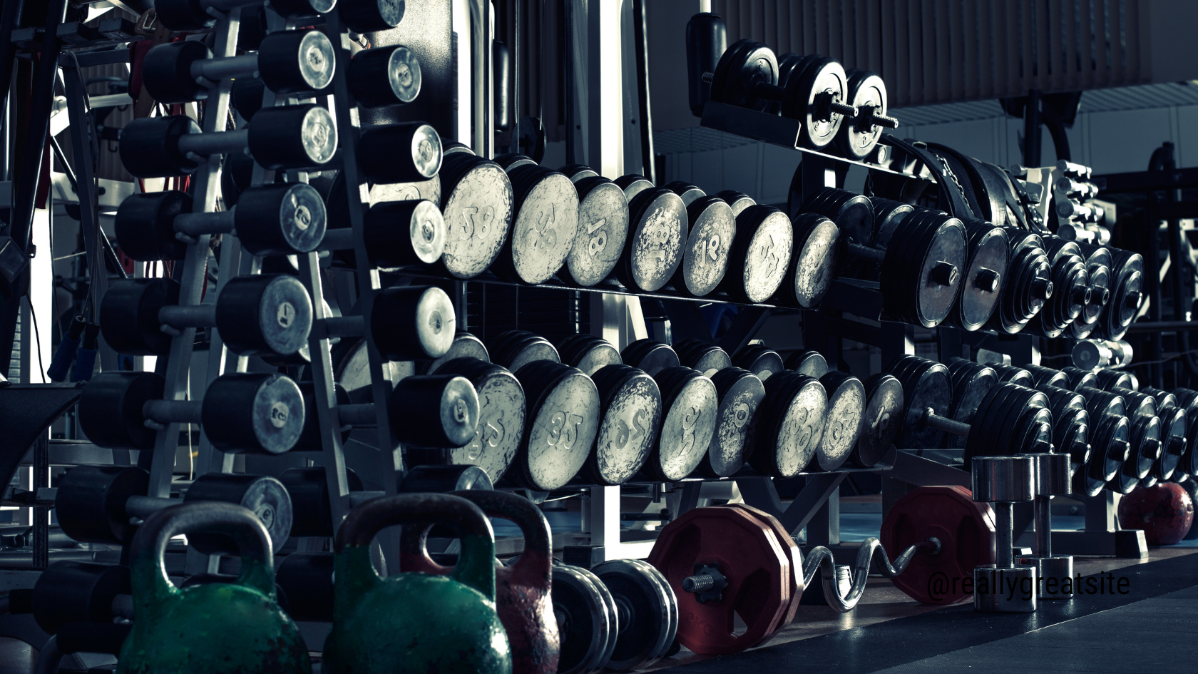 Best Workout Plan for Muscle Gain: Your Ultimate Guide to Bulking Up