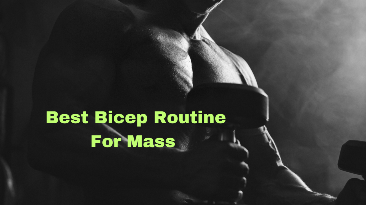 Best Bicep Routine For Mass : The #1 Mass-Building Workout