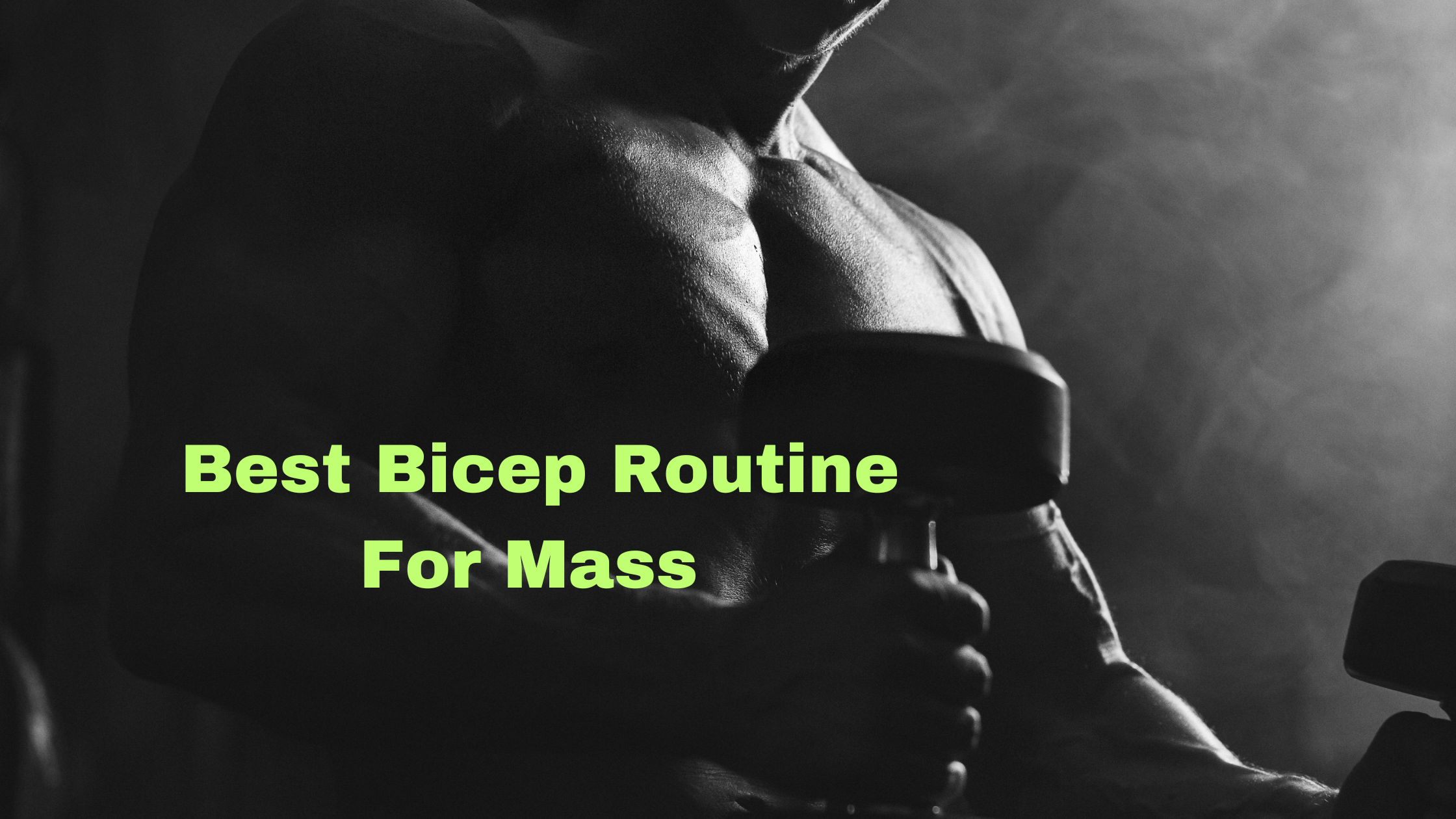 Best bicep routine for mass : The #1 Mass-Building Workout